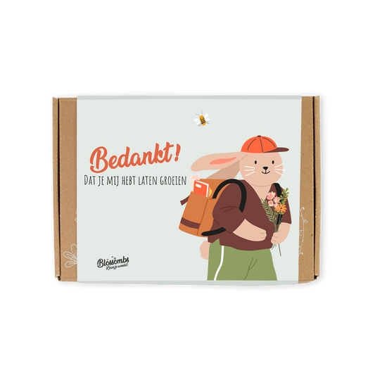 Small Gift Box "Bedankt" met 7 zaadbommetjes