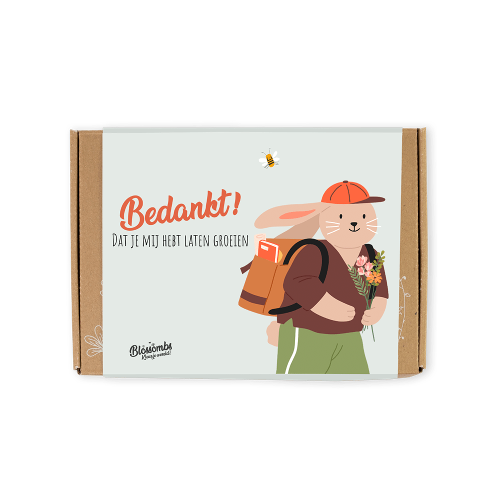 Small Gift Box "Bedankt" met 7 zaadbommetjes