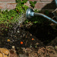 Blister 3 Blossombs Xmas Garden