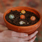 Gelukspoppetje met 2 zaadbommetjes - Lucky Gardening