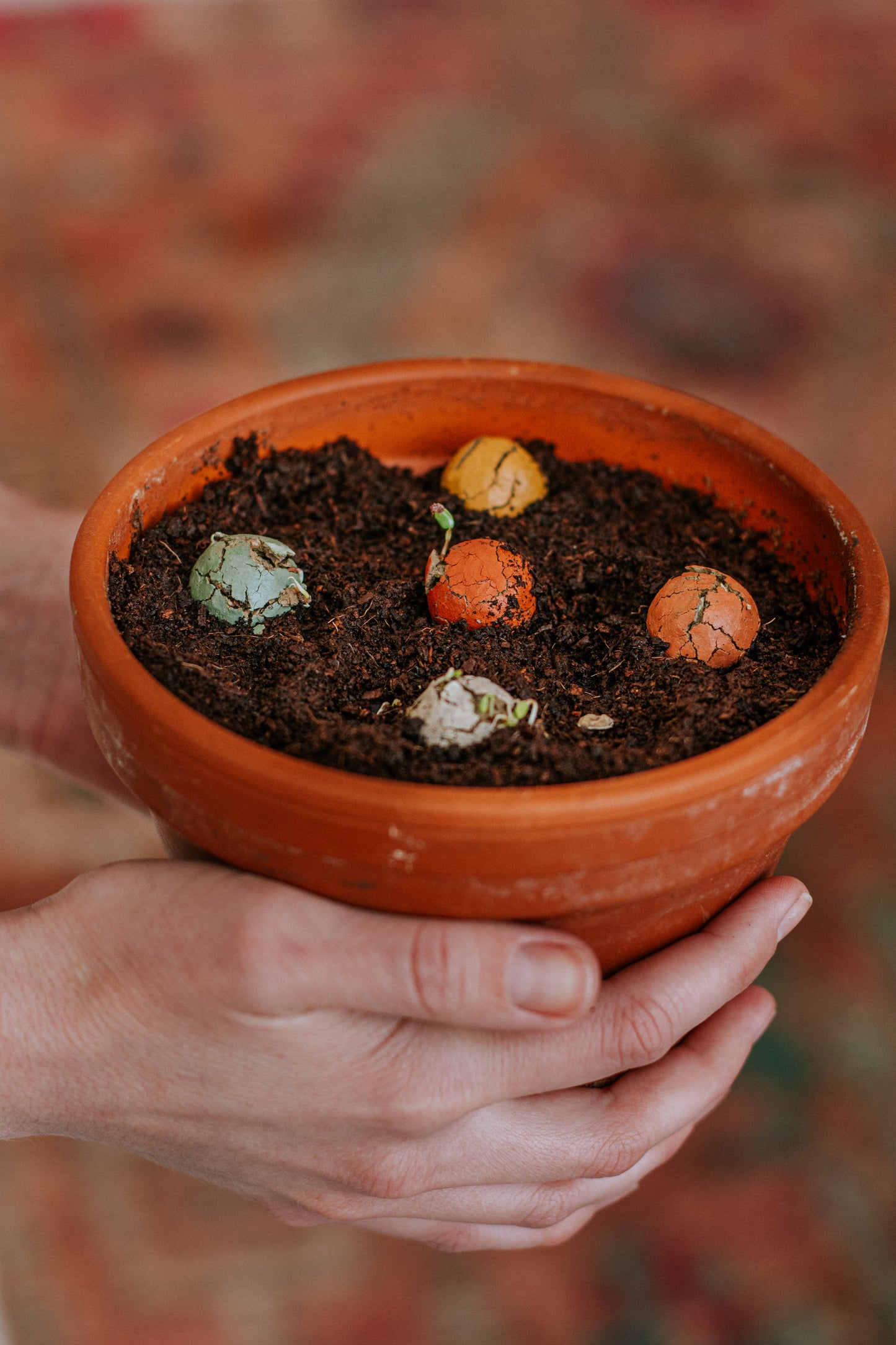 Gelukspoppetje met 2 zaadbommetjes - Lucky Gardening