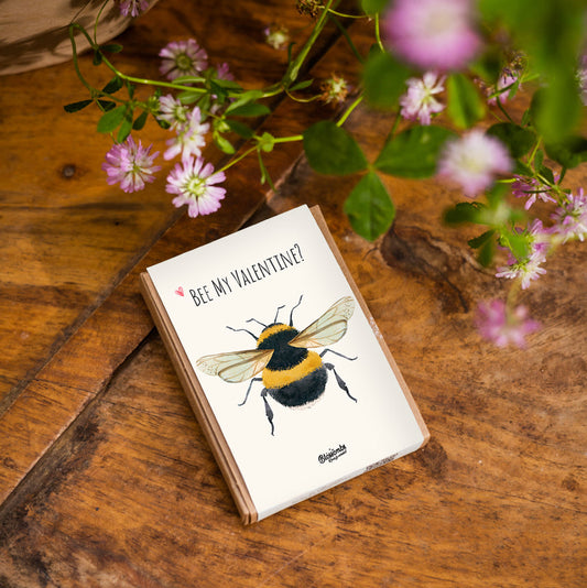 Valentijn Gift Box Mini met 4 zaadbommetjes