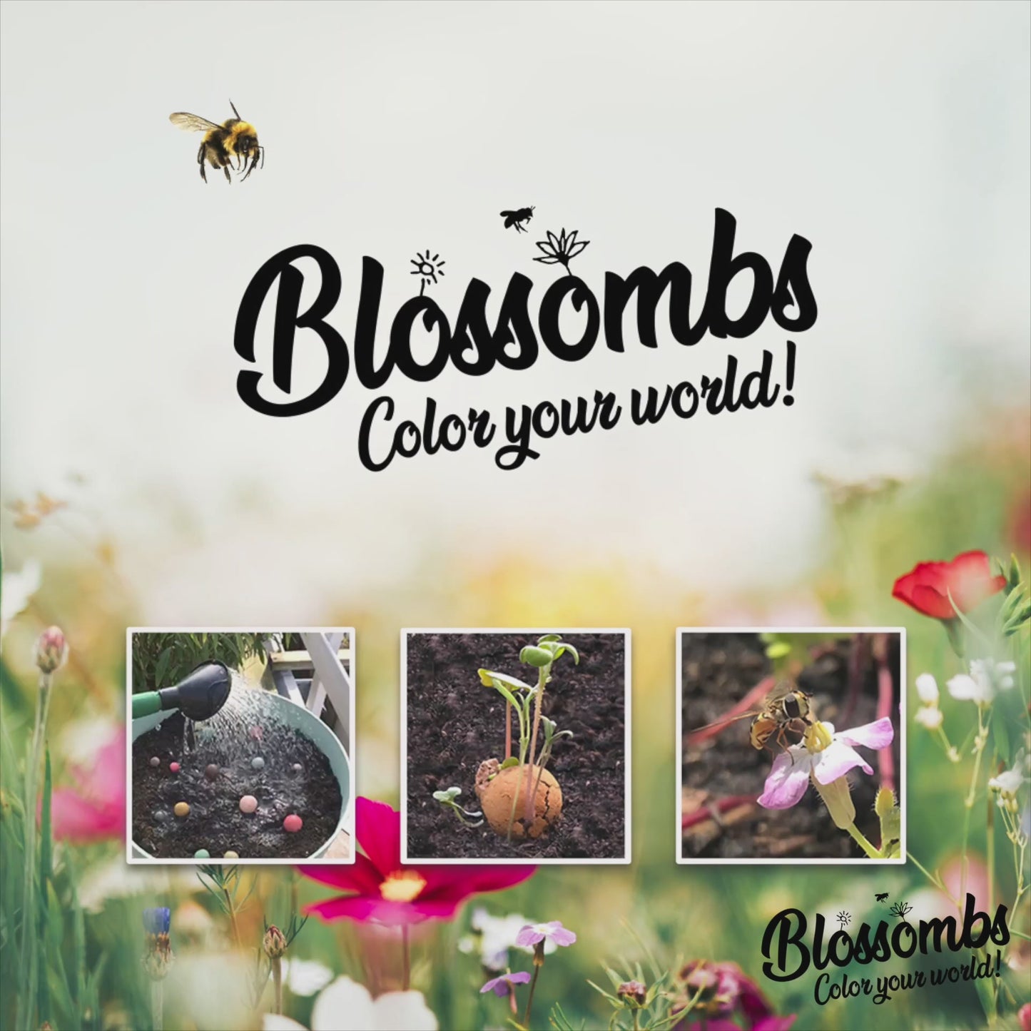 Gift Box Medium met 9 zaadbommetjes - The Most Colorful Time